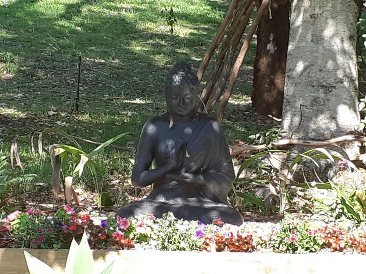 Mapleton Peaceful Provence Bnb Eksteriør billede
